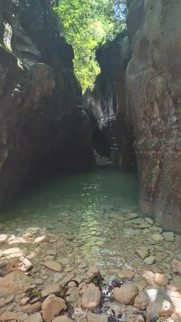 Damajagua Waterfalls Tour 6